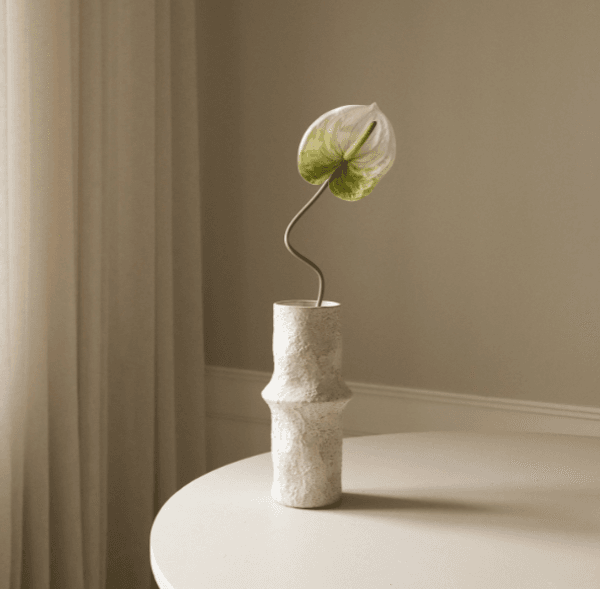 Bilde av Light Green Anthurium Flower/ Botané