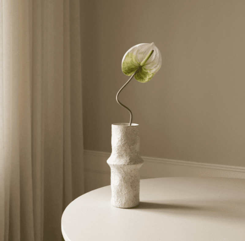 Light Green Anthurium Flower/ Botané