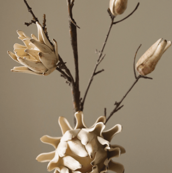 Hovedbilde Cream Artichoke Branch/ Botanè