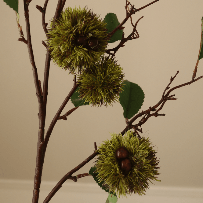 Hovedbilde Botanè Green Chestnut Branch